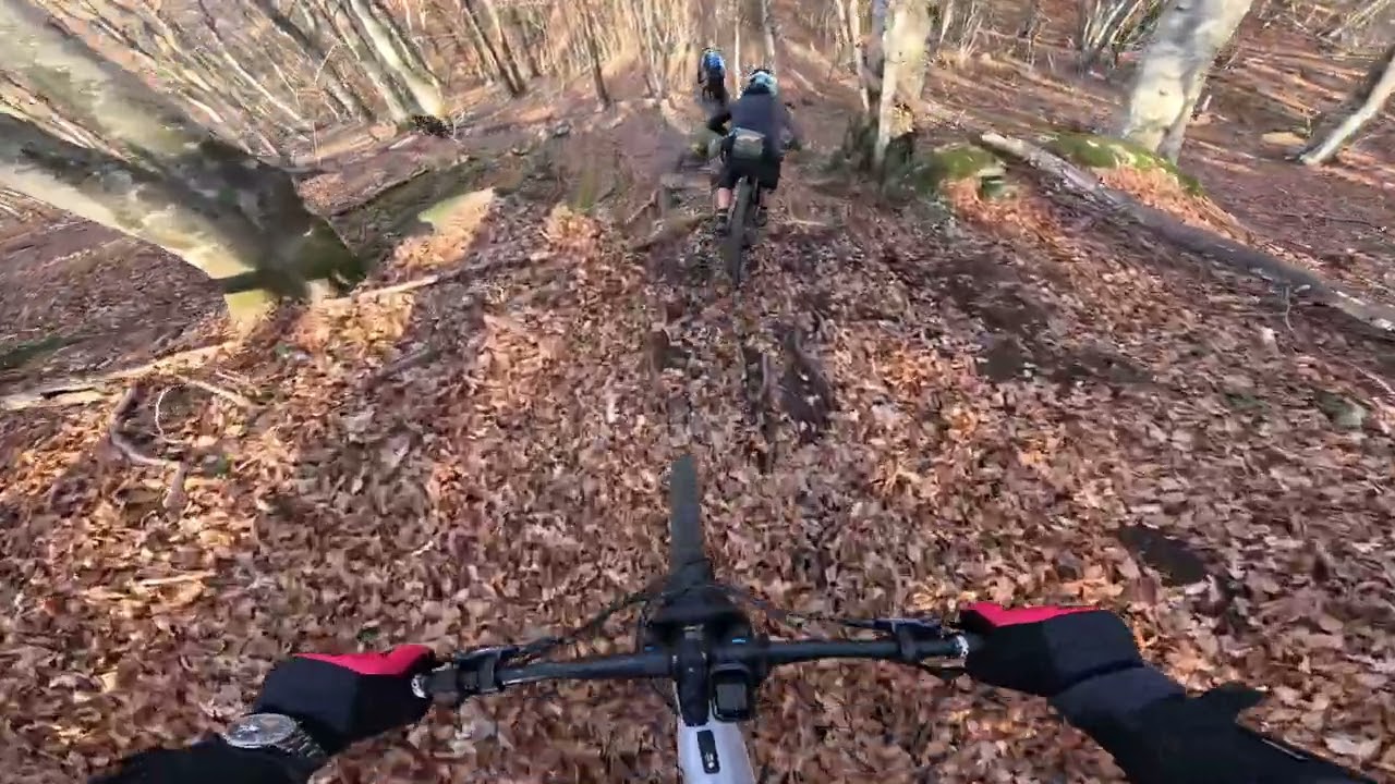 Discordia Enduro eMTB with foliage- Monte Fogliano Vetralla 
