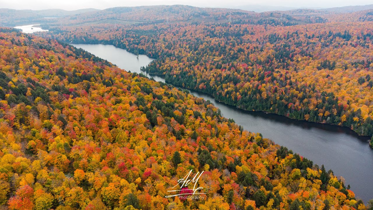 Fall in Quebec