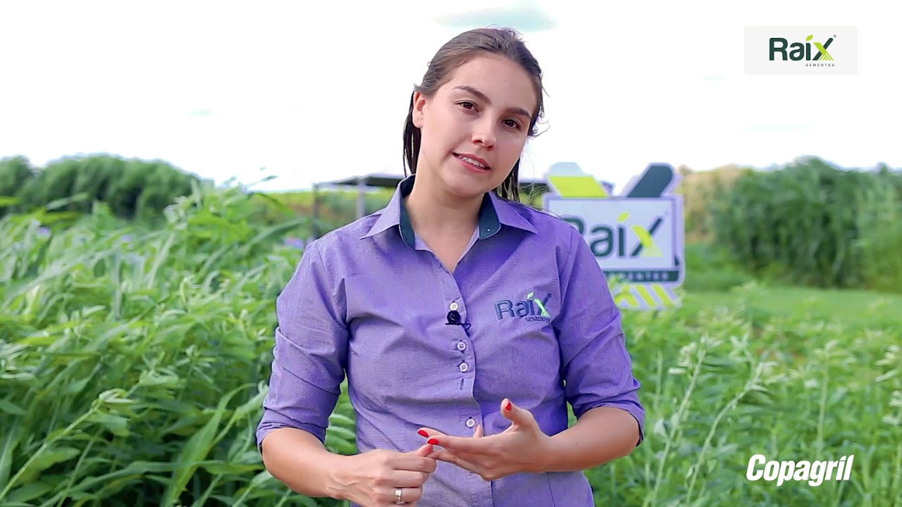 Dia de campo digital 2021 (Raix) 🌱