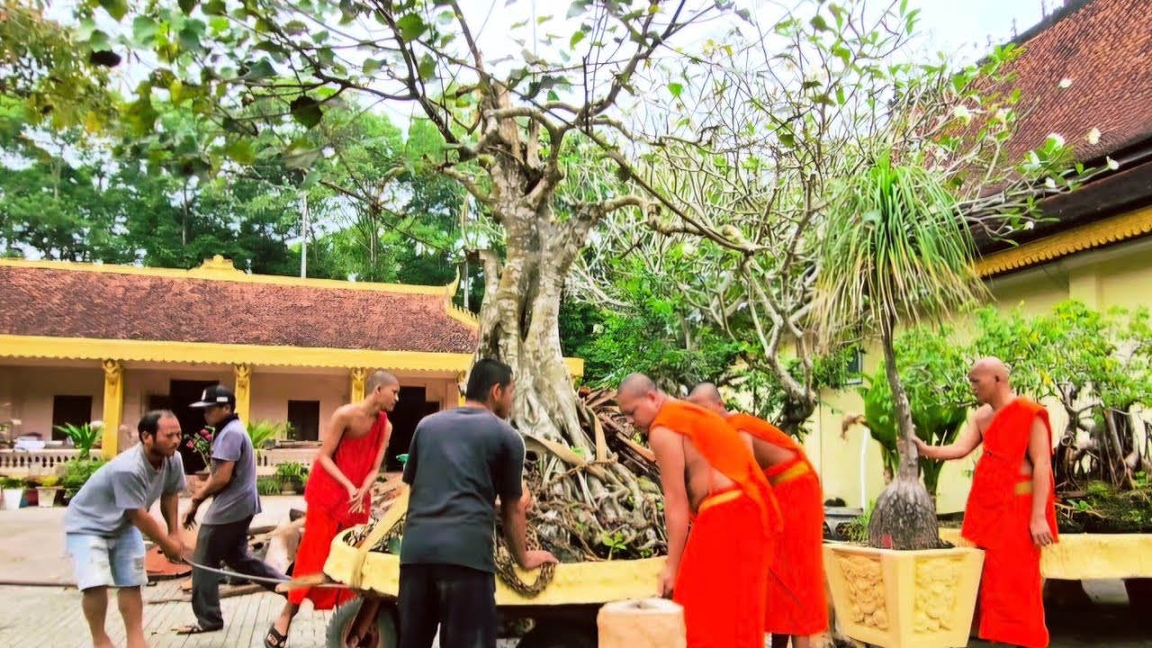 Chư Tăng Chùa Âng Đoàn Kết Cùng Nhau Lao Động 