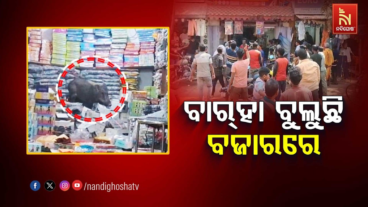 ବାରହା ବୁଲୁଛି ବଜାରରେ | NandighoshaTV