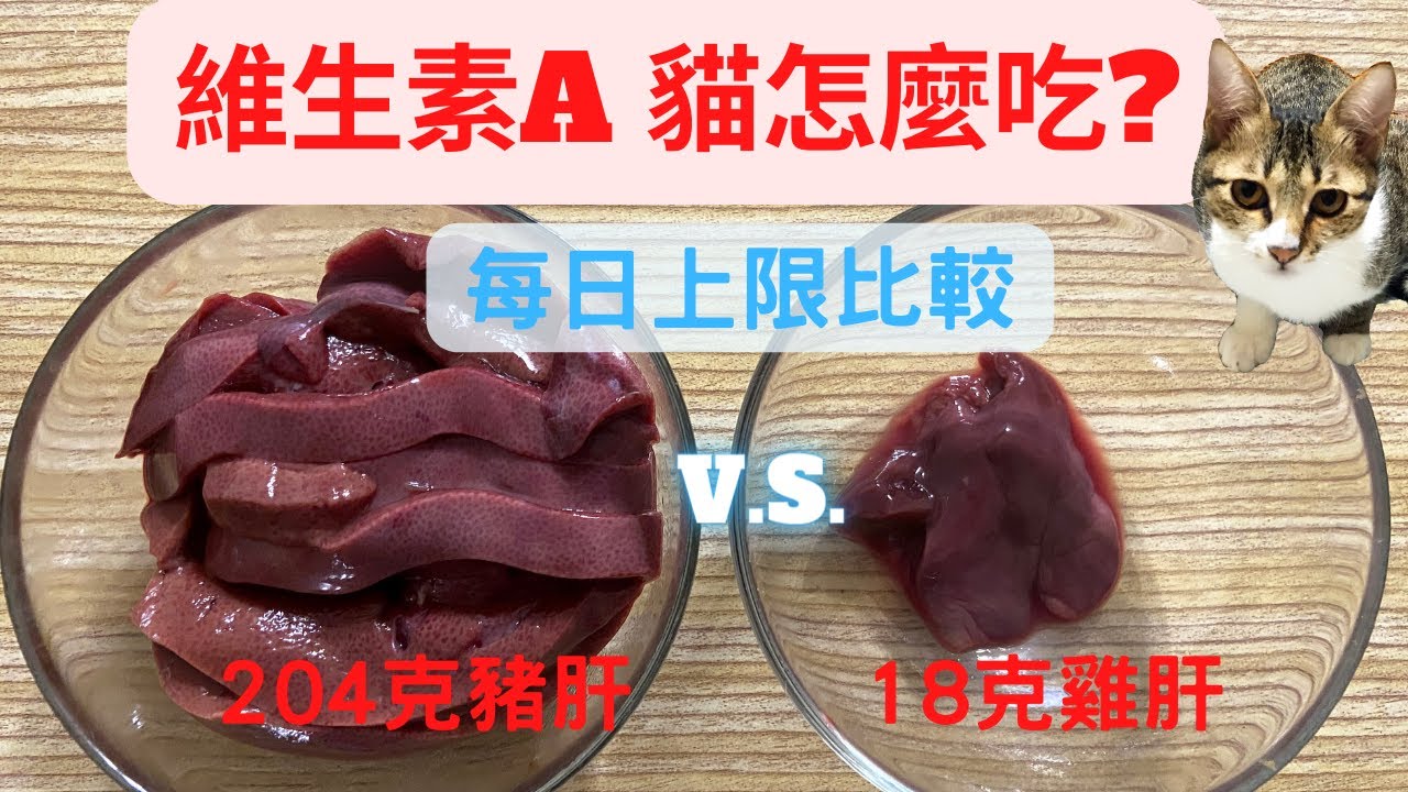 貓鮮食用的雞肝豬肝維生素A過量會中毒，多少份量自己算附美國NRC、AAFCO歐洲FEDIAF的上限攝取表【毛掌村長愛旅遊】