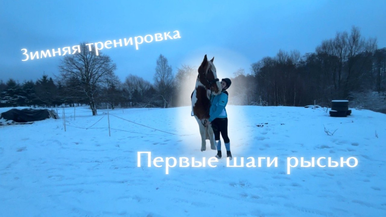 Зимняя тренировка, ВЛОГ
