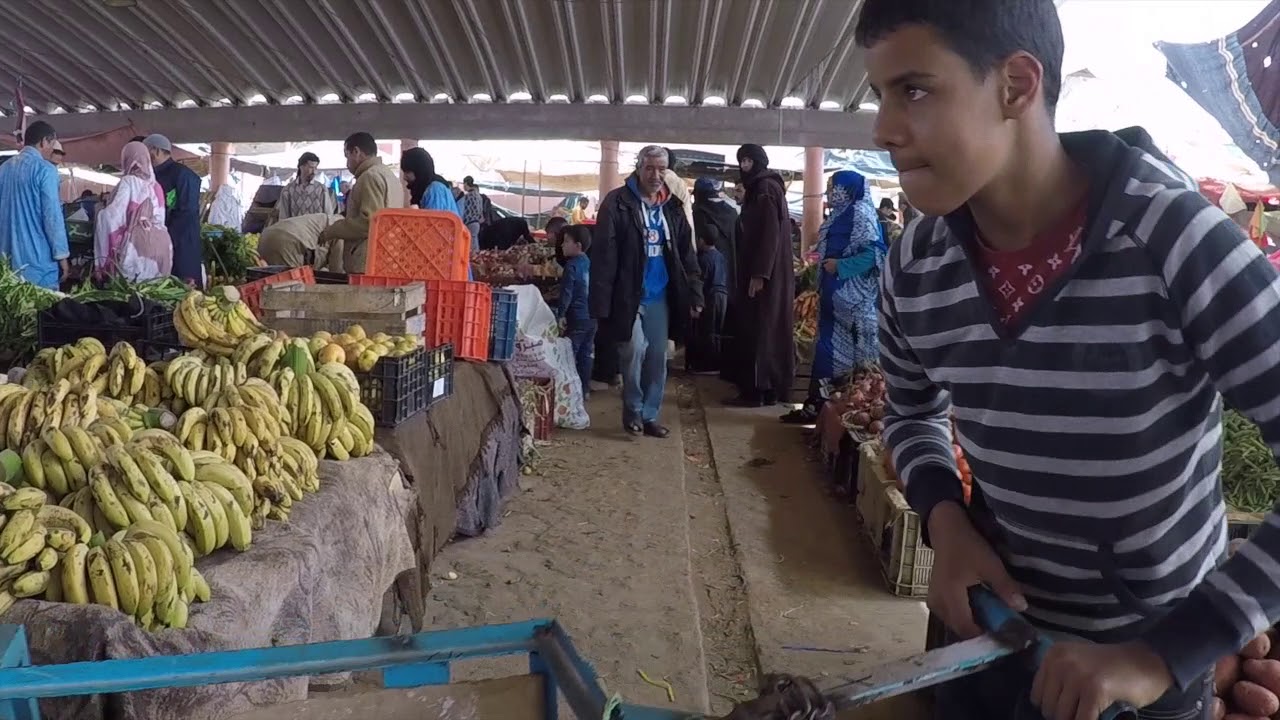 Guelmim marché aux chameaux