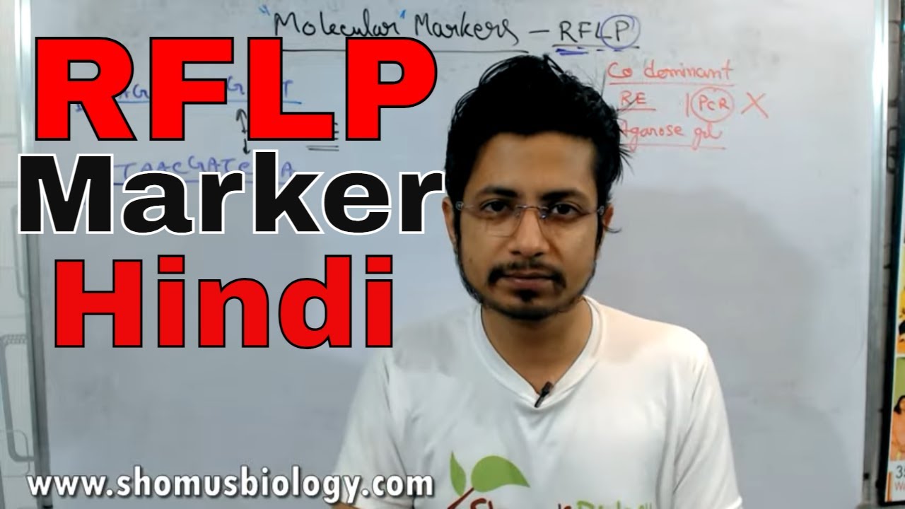 RFLP-маркеры | Маркер полиморфизма длины рестрикционных фрагментов