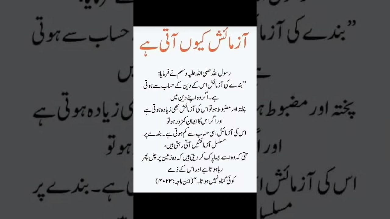 best Islamic wisdom words information video quotes status motivation inspirational quotes #shorts