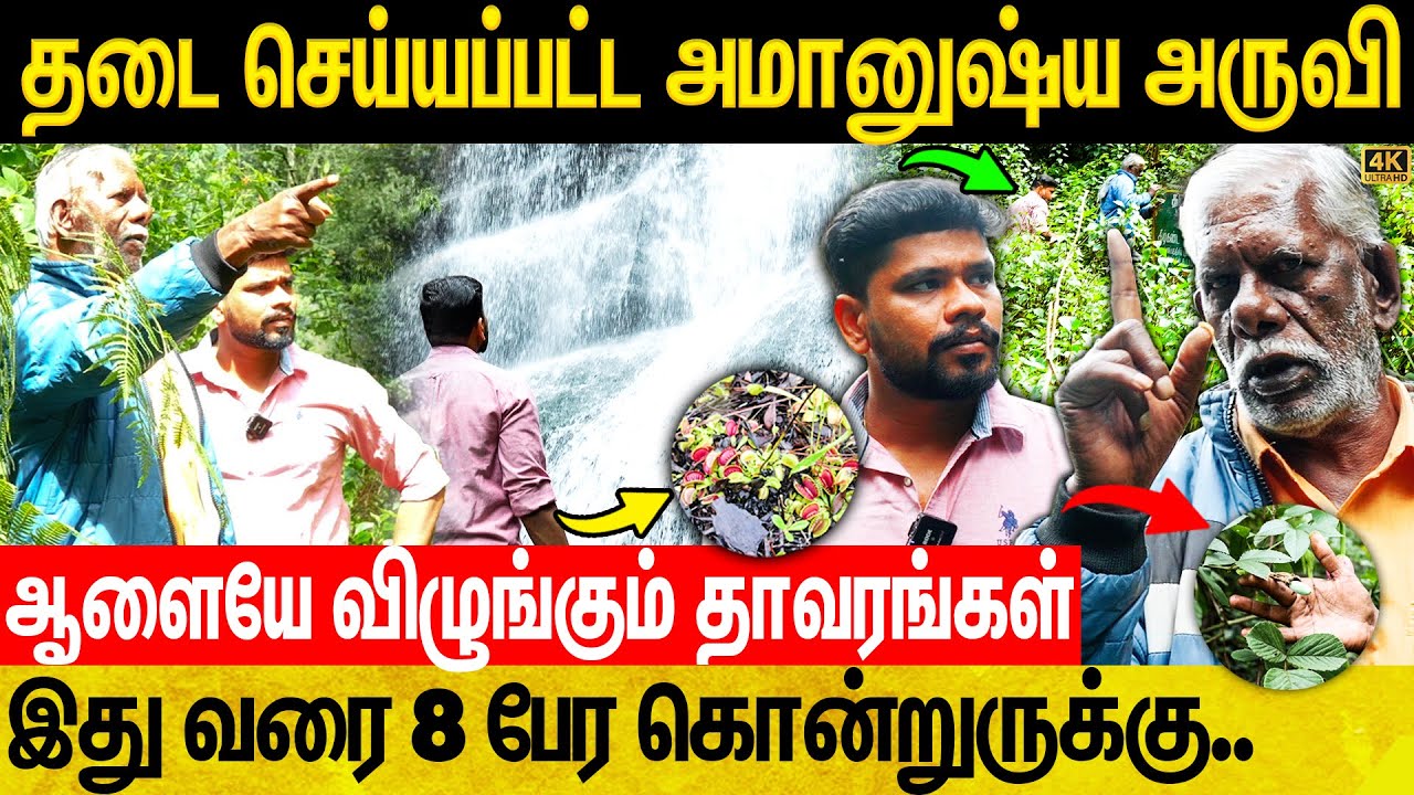 நீர் மட்டம் அதிகமாகுது உடனே இந்த இடத்தை விட்டு கிளம்புங்க..சொன்னா கேளுங்க | Kodaikanal Vlog |