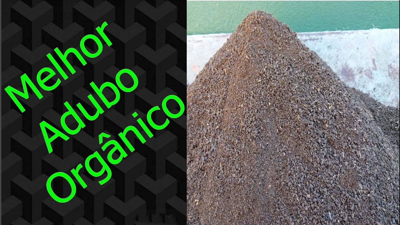 O melhor adubo do mundo #Como curtir esterco de codorna da maneira mais fácil