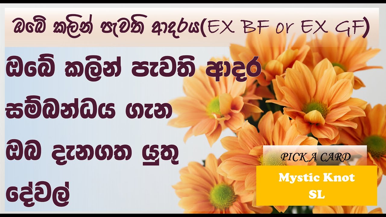 ඔබේ කලින් ‌ආදර සම්බන්ධය සහ EX GF/BF ගැන බලමු ǀ Tarot reading about Your EX #ex #pickacard #tarot