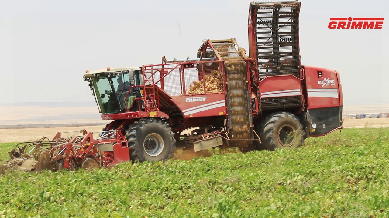 Grimme Rexor 620 in Egypt