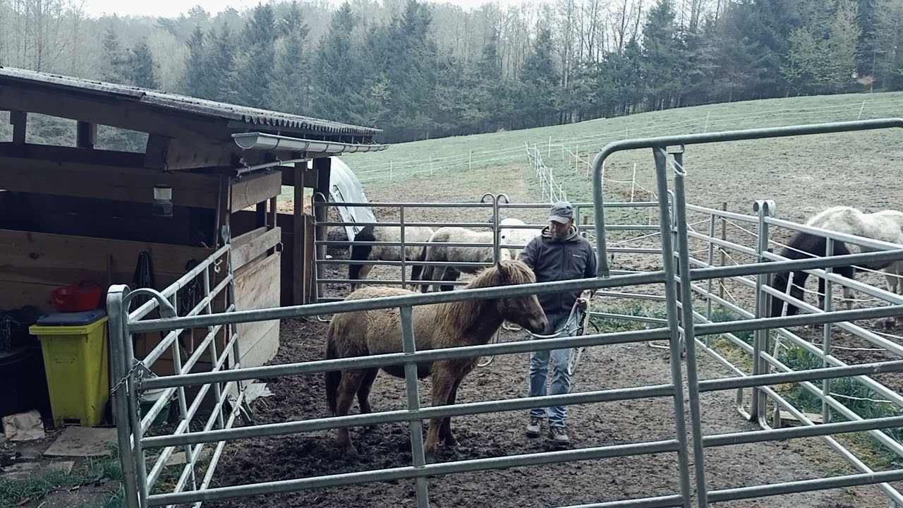 Tag 2 - Beginn der Einzeltrainings - Hakon