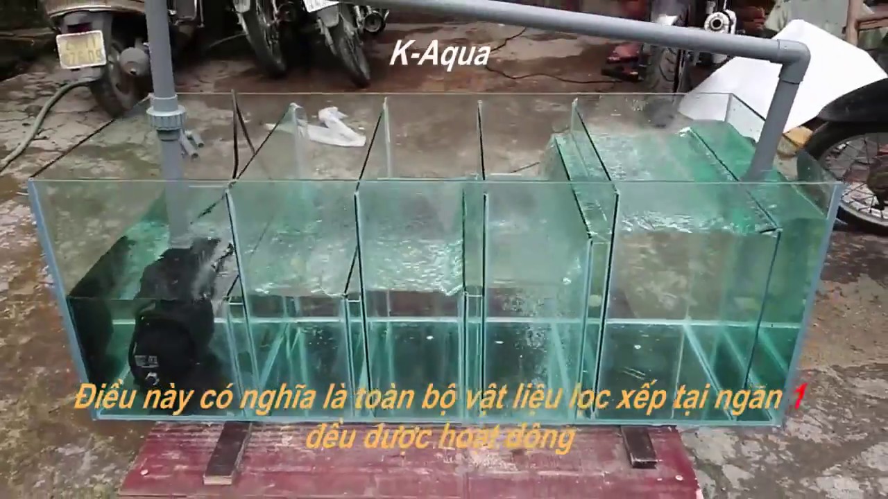K Aqua Nguy&ecirc;n l&yacute; hoạt động của bể lọc c&aacute; rồng