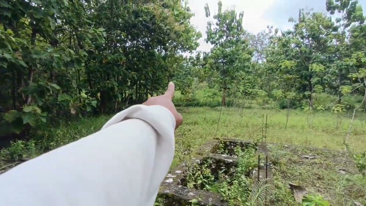 Dijual tanah pekarangan lingkungan nasionalis dekat RSI karangmojo Gunungkidul ✅ 