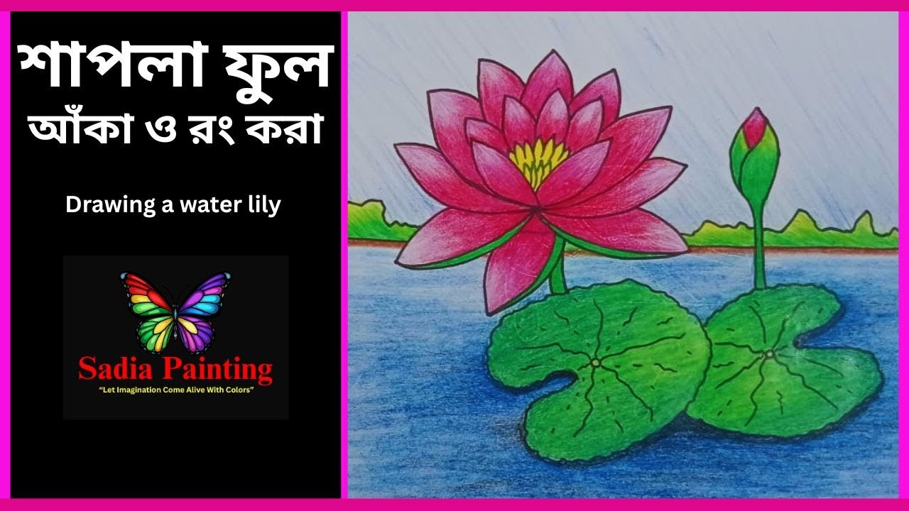 how to draw a water lily | water lily drawing | শাপলা ফুল আঁকার সহজ কৌশল | Painting Palette