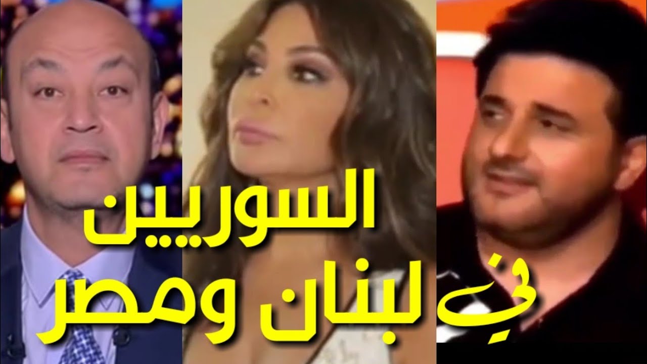 السوريين في لبنان ومصر|اليسا تطلب ترحيل السوريين وملحم زين يدافع وعمرو أديب يمدح استثمارات السوريين