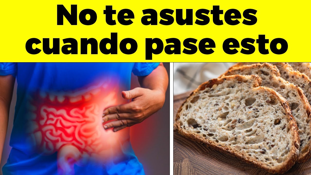 As&iacute; CAMBIA TU CUERPO al dejar de comer pan y harinas! CAMBIOS SORPRENDENTES