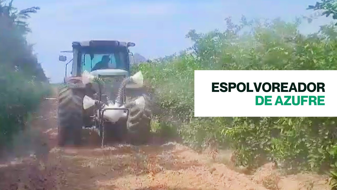 Espolvoreador de azufre (vid) | Sanidad | LiTEC