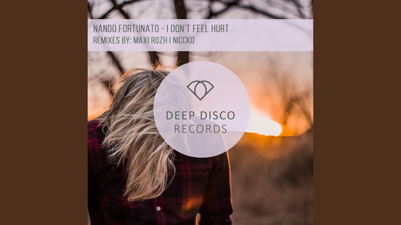 I Don't Feel Hurt (feat. NICCKO) (NICCKO Remix)