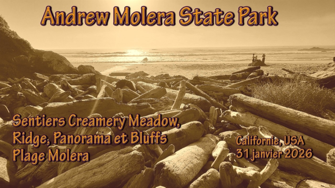 Andrew Molera State Park