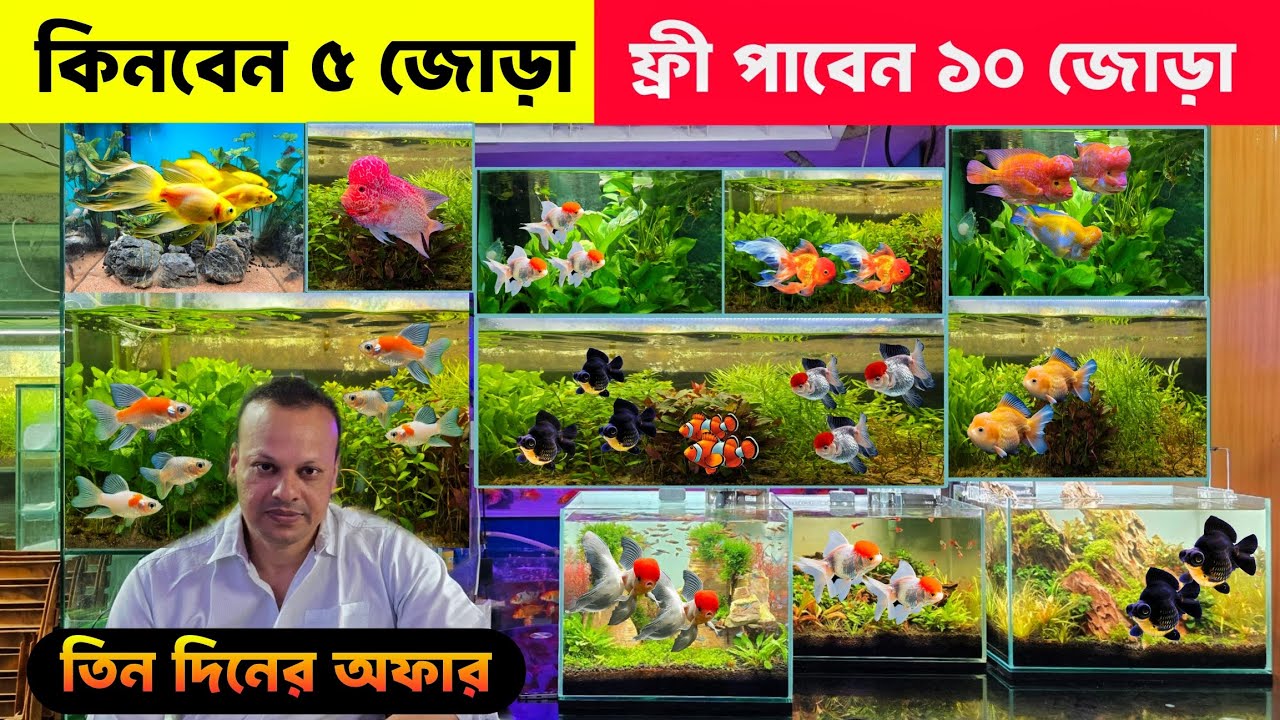 Aquarium Fish Price In Bangladesh 2025🐠Aquarium Fish Price | Aquarium | Aquarium Fish Price In BD🐠