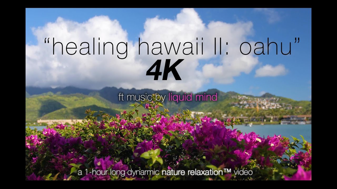 1HR 4K RELAXATION: 