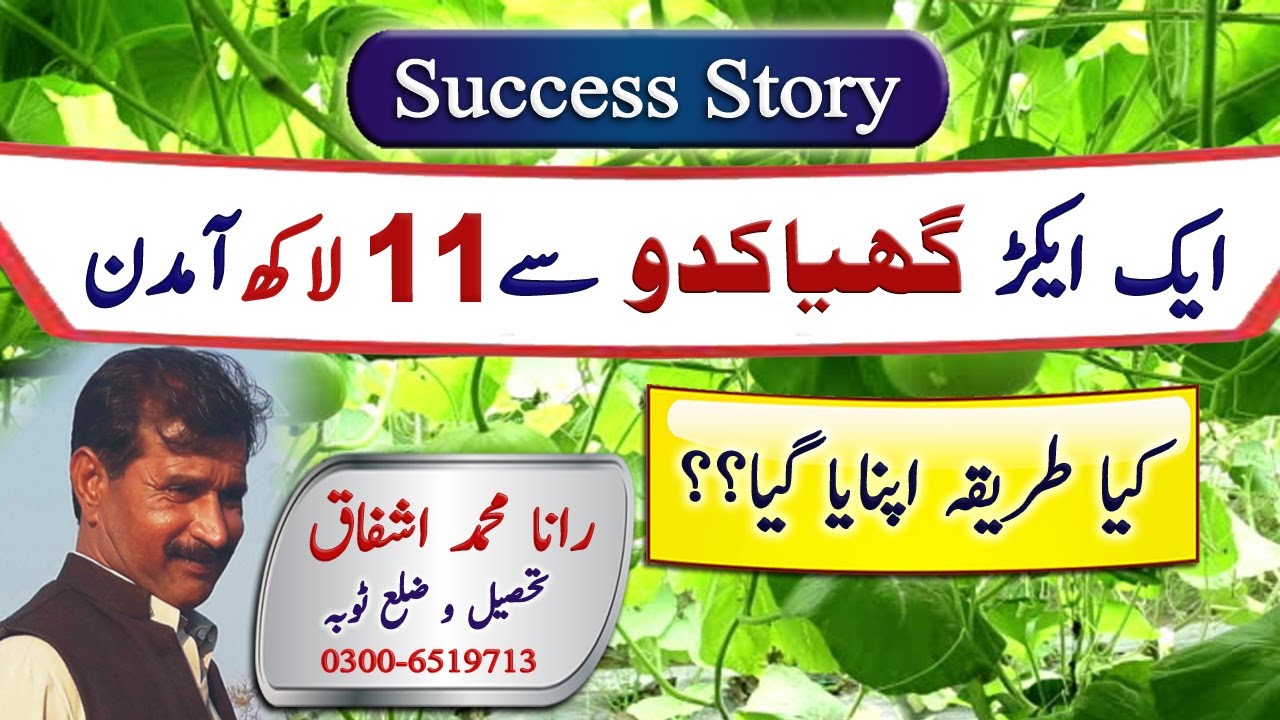 Profitable farming of Bottle Gourd || Crop Reformer