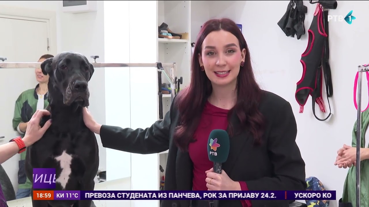Profesionalni grumeri garantuju bezbedan i efikasan tretman