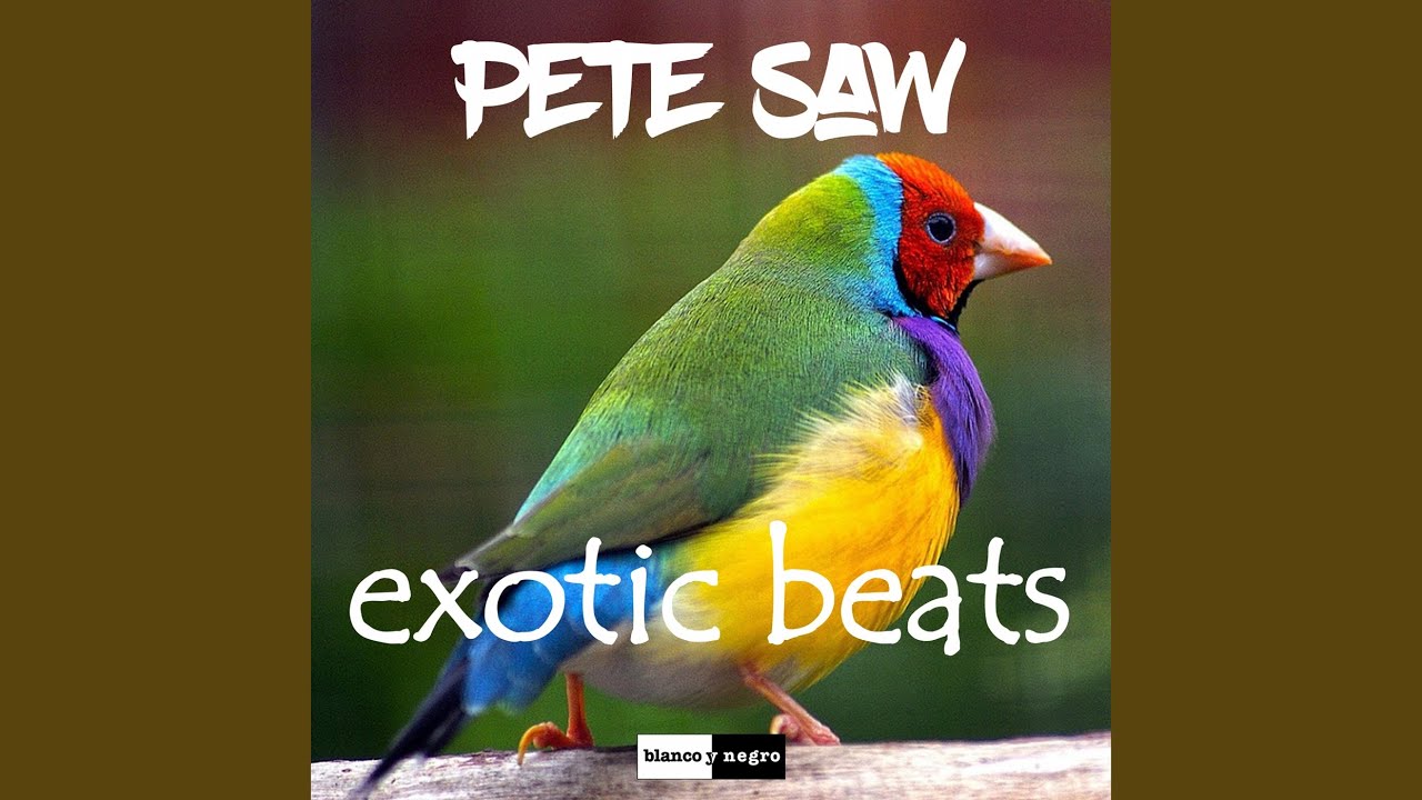 Exotic Beats