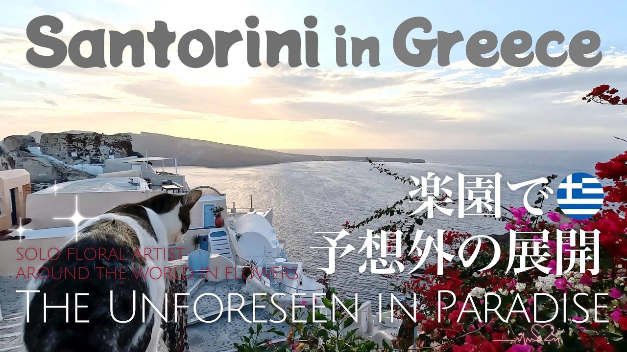 【ギリシャ🇬🇷サントリーニ島】楽園のはずなのに、とんでもない展開😱 It was supposed to be paradise, but a wild turn happened!