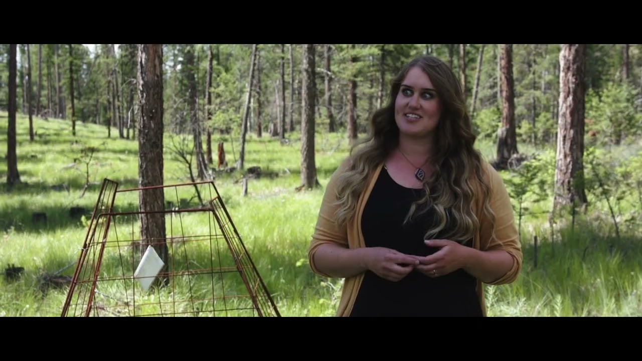 Too Close to Home: Fighting Fires while Feeding Cows. AALL Webinar