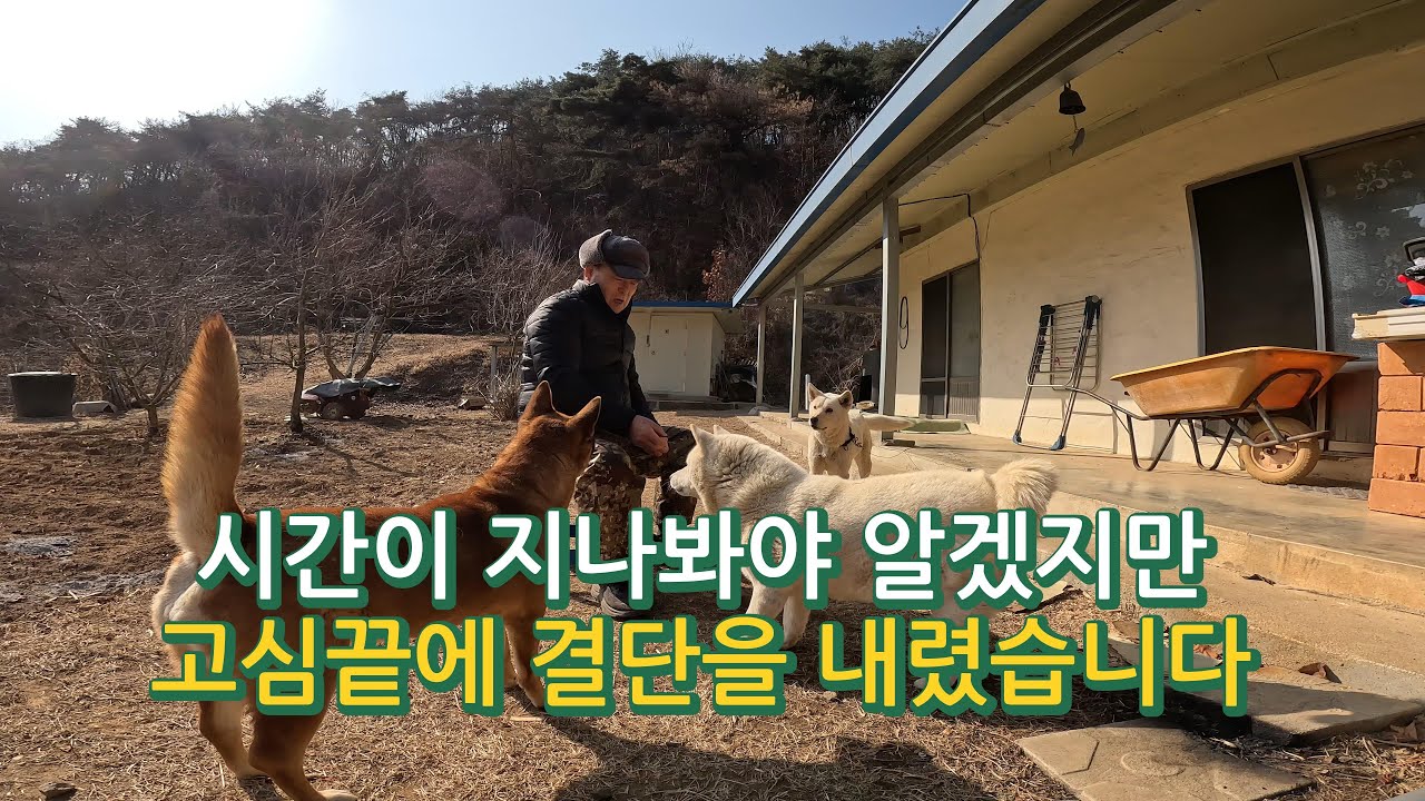 고심 끝에 결단을 내렸습니다