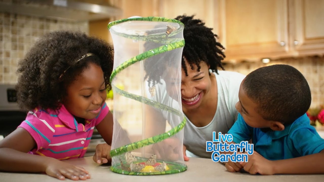 Butterfly Garden: Watch Them Grow!!