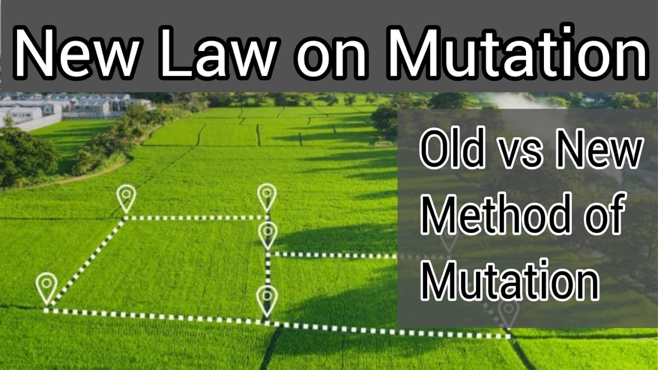 Property partition is mandatory before Inheritance Mutation | Meerab Sania | Legal Logs
