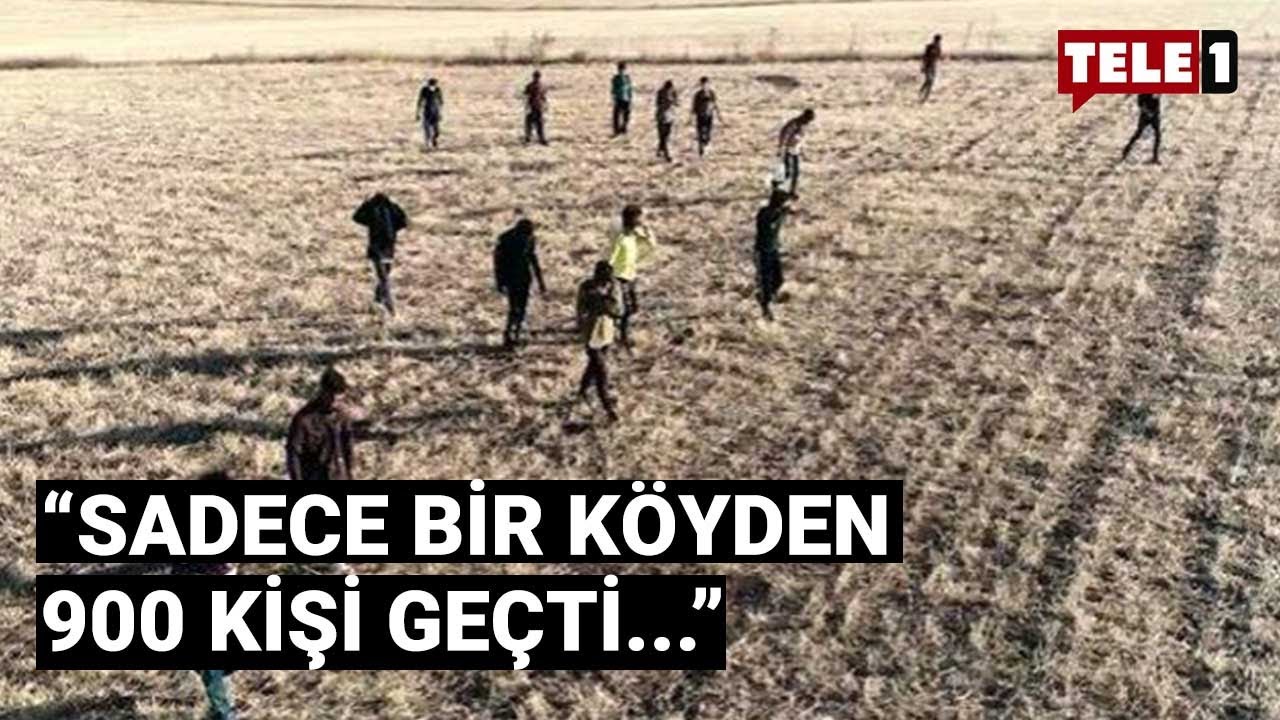 Afgan göçünü görüntüleyen gazeteci TELE1'e konuştu | GÜN ORTASI