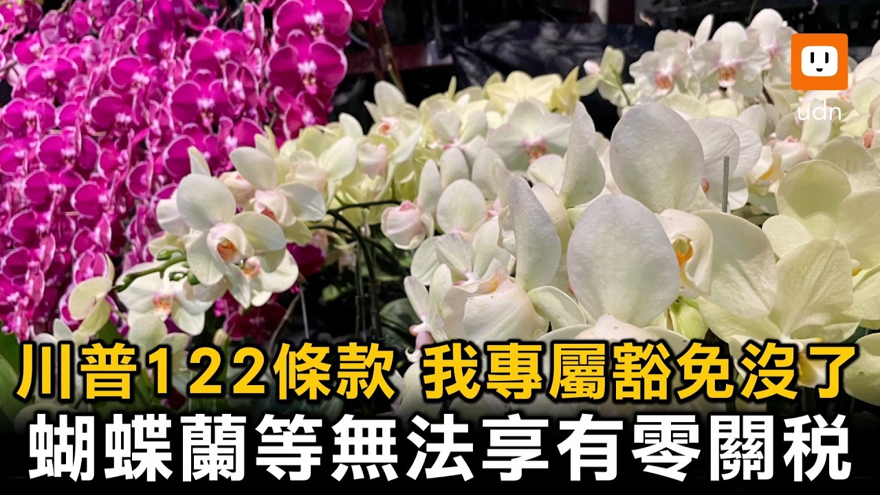 川普改祭122條款 茶葉、蝴蝶蘭等輸美零關稅泡湯