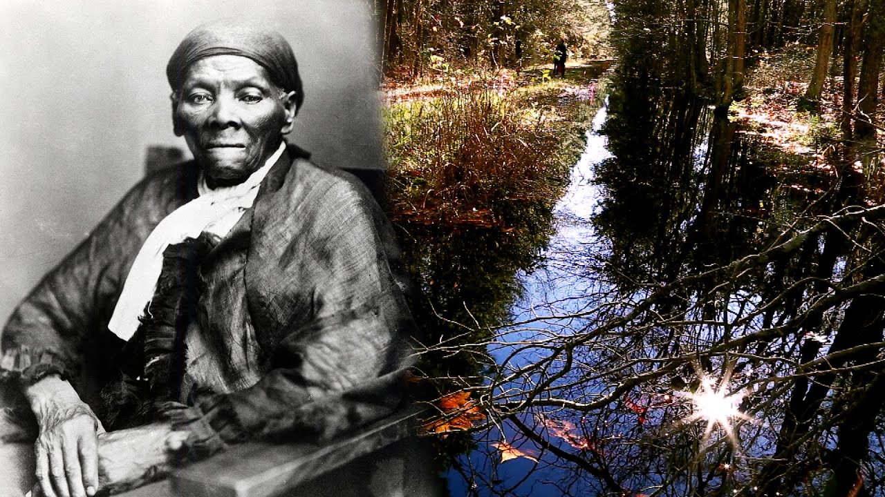 Is Harriet Tubman’s Childhood Home Somewhere in This Swamp?