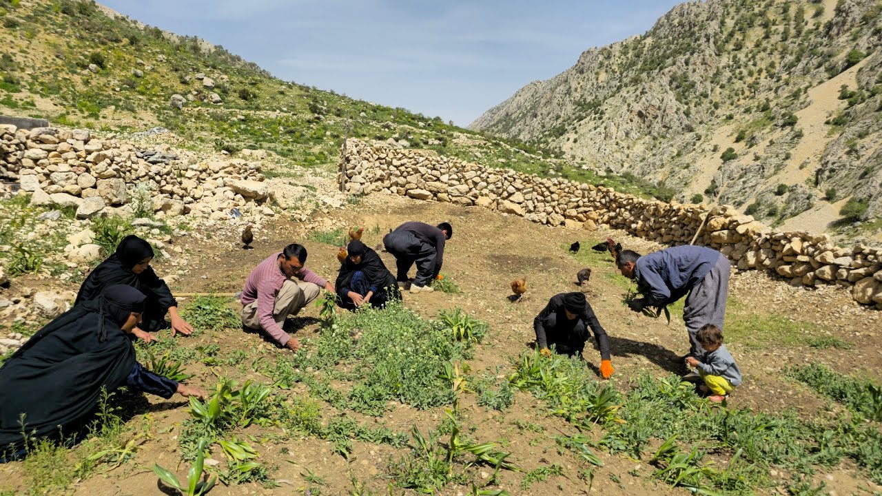 Nomadic Life: Living in a Nomadic Family Garden | Deep Bonds and Nature in the Mountains🌳💫
