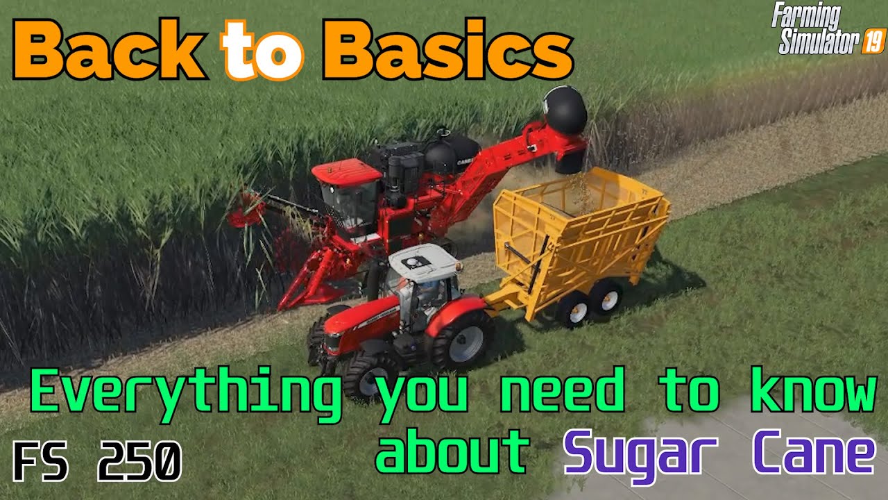 Farming Simulator 19 - Back to Basics - A beginners guide to Sugar Cane