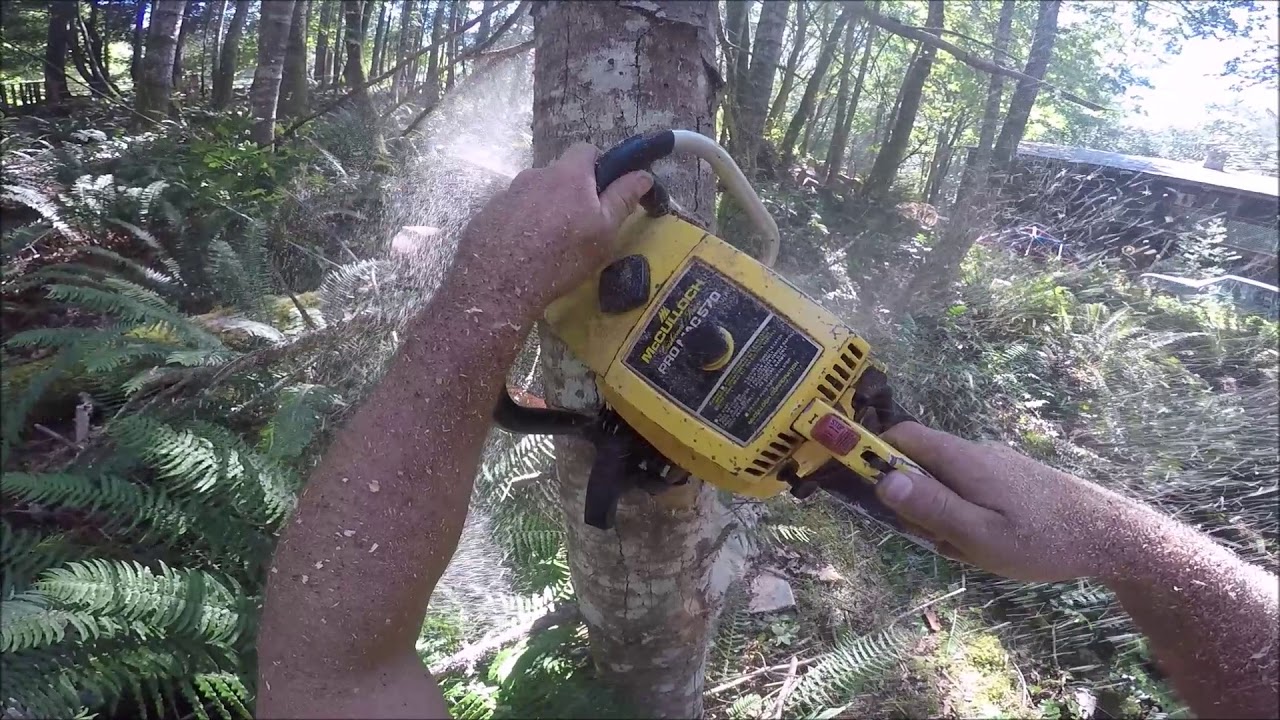 TREE FELLING , HANG UPS AND DEAD TREES
