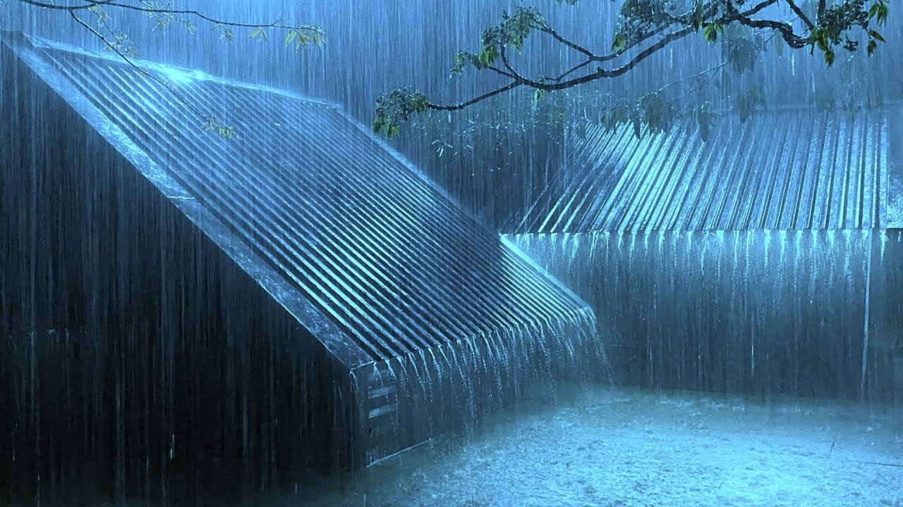 Relax with Powerful Rain & Terrifying Thunder Sounds on Corrugated Iron Roof in Creepy Night Forest