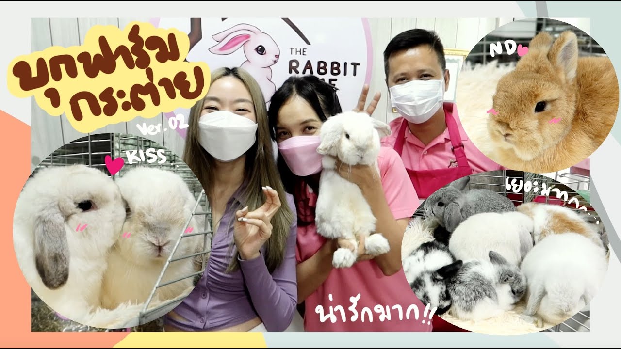EP.39 แนะนำฟาร์มกระต่ายหูตกที่น่ารักสุดๆ พาคุณทีทีกลับบ้าน #BunnyTTCoupe | Loveberry Joyjee