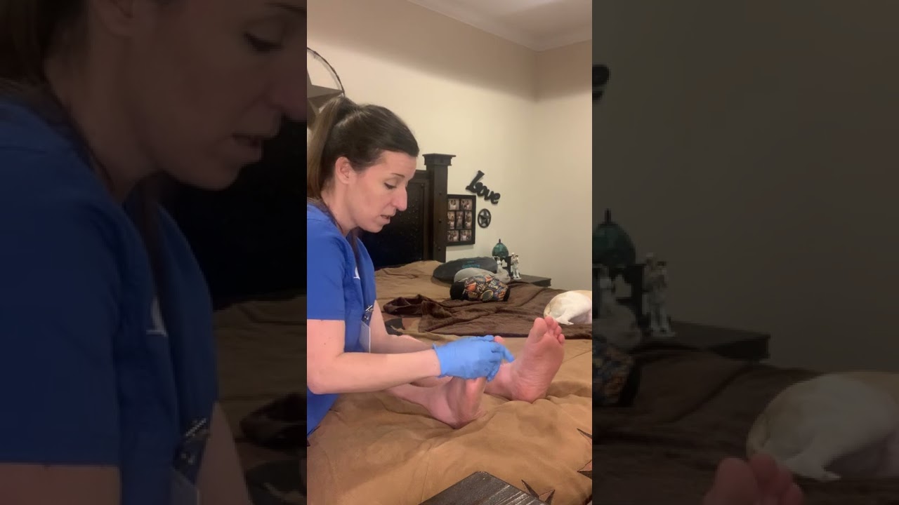 Hair, Skin, Nail Assessment