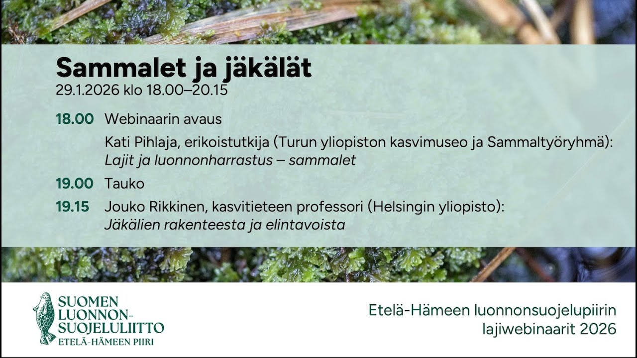 Jouko Rikkinen: Jäkälien rakenteesta ja elintavoista (webinaari 29.1.2026)