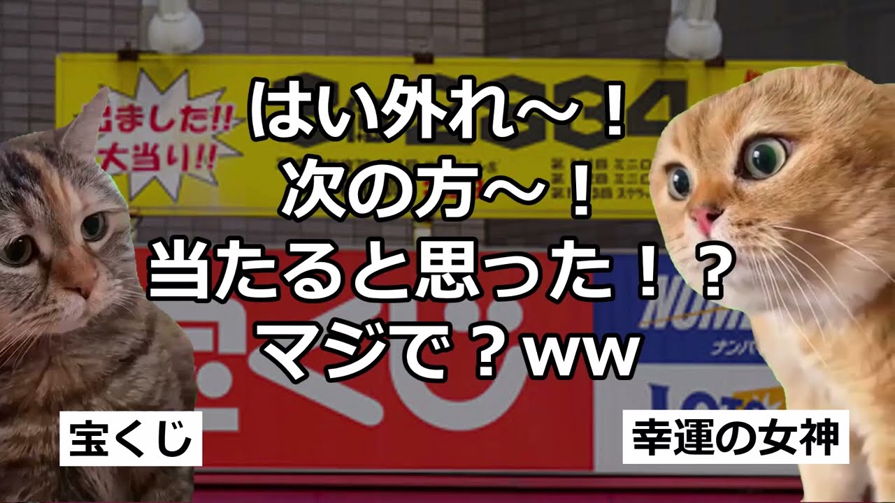 【猫ミーム】宝くじは絶対損する？仕組みと裏側を暴露！