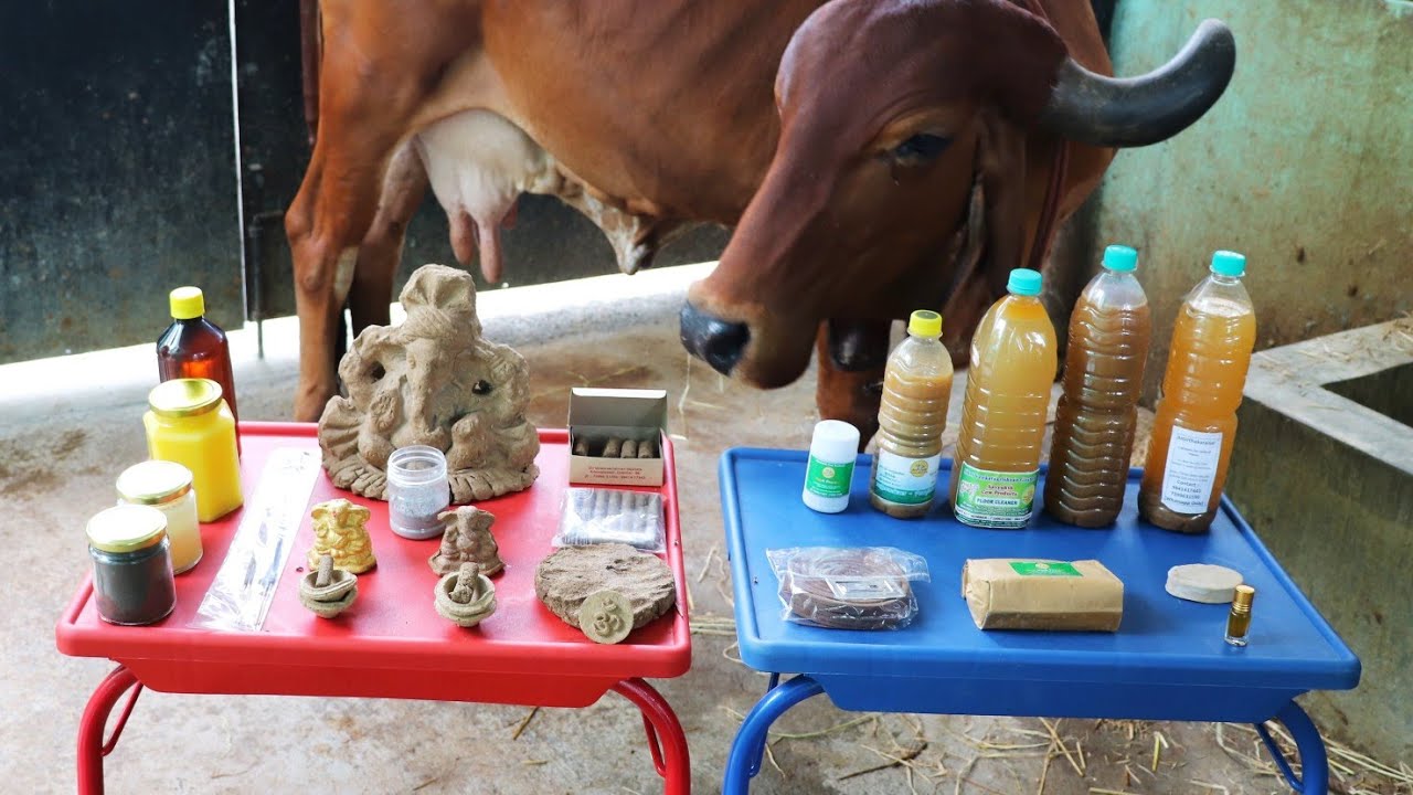 நாட்டுமாட்டு பண்ணையில் இருந்து இதெல்லாம் கிடைக்குதா!!!