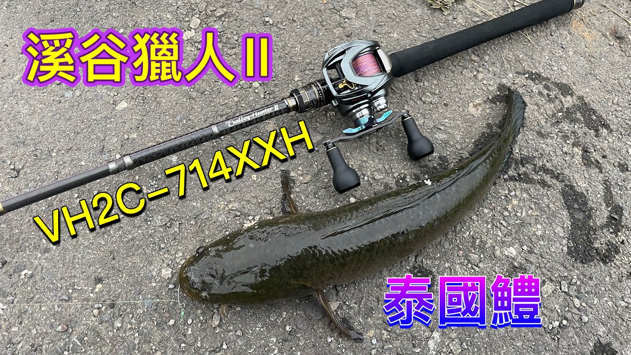 溪谷獵人2代 冬季泰國鱧(#溪谷獵人 #泰國鱧 #daiwa #ulook #buff #墾趣 #patagonia)
