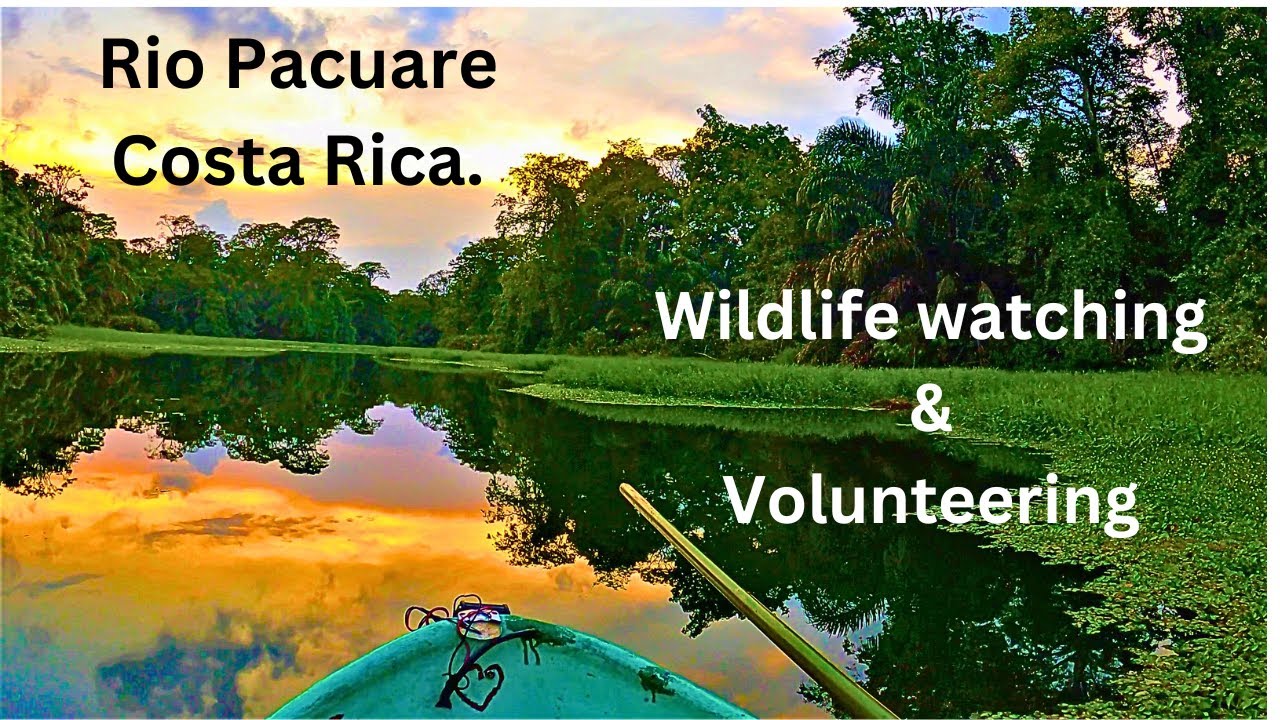 Travelling Costa Rica: Volunteering at Naturaleza de Pacuare. Pacuare river wildlife watching. 4K.