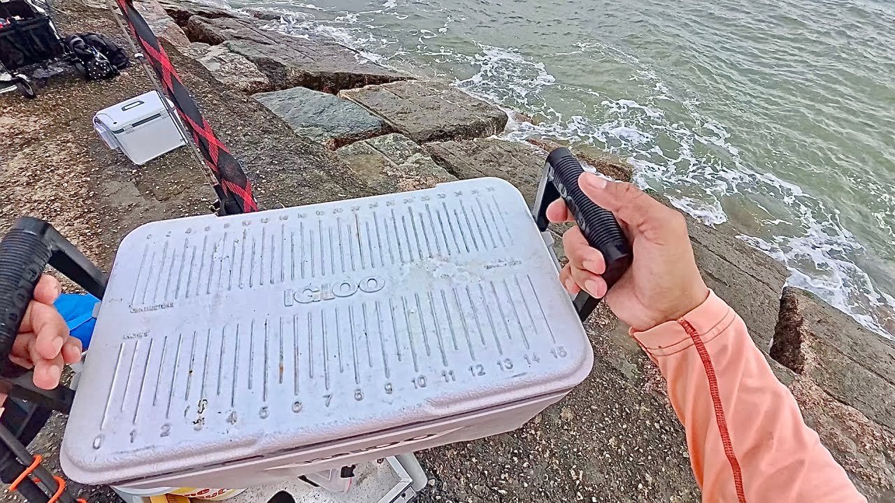Multiple Limits caught with this awesome bait (S7 E77)