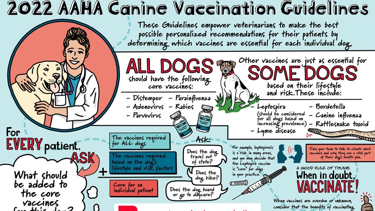 2022 AAHA Canine Vaccination Guidelines