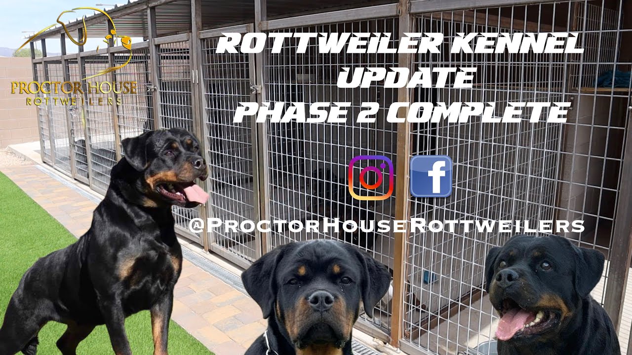 OUR ROTTWEILER KENNEL UPDATE PART 2 (Phase 2 Complete)